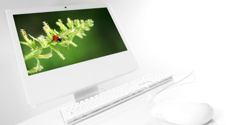 Création de PC personnalisable